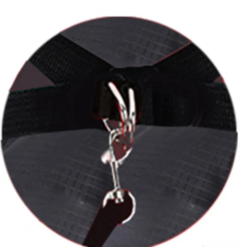 Dog Clothes Winter Warm Pet Dog Jacket Coat Puppy Chihuahua Clothing Hoodies For Small Medium Dogs Puppy Yorkshire Outfit XS-XXL Dog Clothes Winter Warm Pet Dog Jacket Coat Puppy Chihuahua Clothing Hoodies For Small Medium Dogs Puppy Yorkshire Outfit XS-XXL