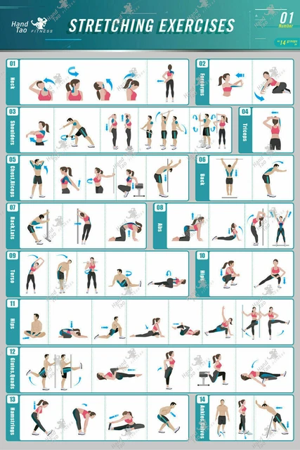 Back Exercises Chart