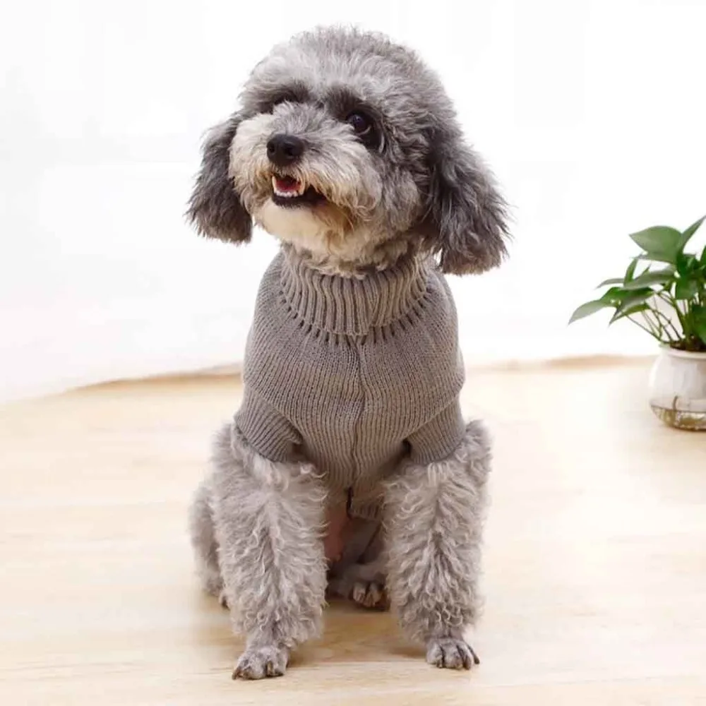 Двухслойный зимний свитер для собак, одежда для собак, зимняя одежда для собак, теплая одежда для чихуахуа, пальто ubranka dla psow 20O18