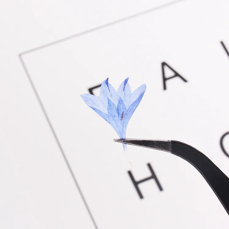 Description Picture 3 of item40PCS,Nature Pressed Flower,Real Touch Cornflower Petals,DIY Wedding invitations Craft Bookmark Gift Card,Flores Facial Decor