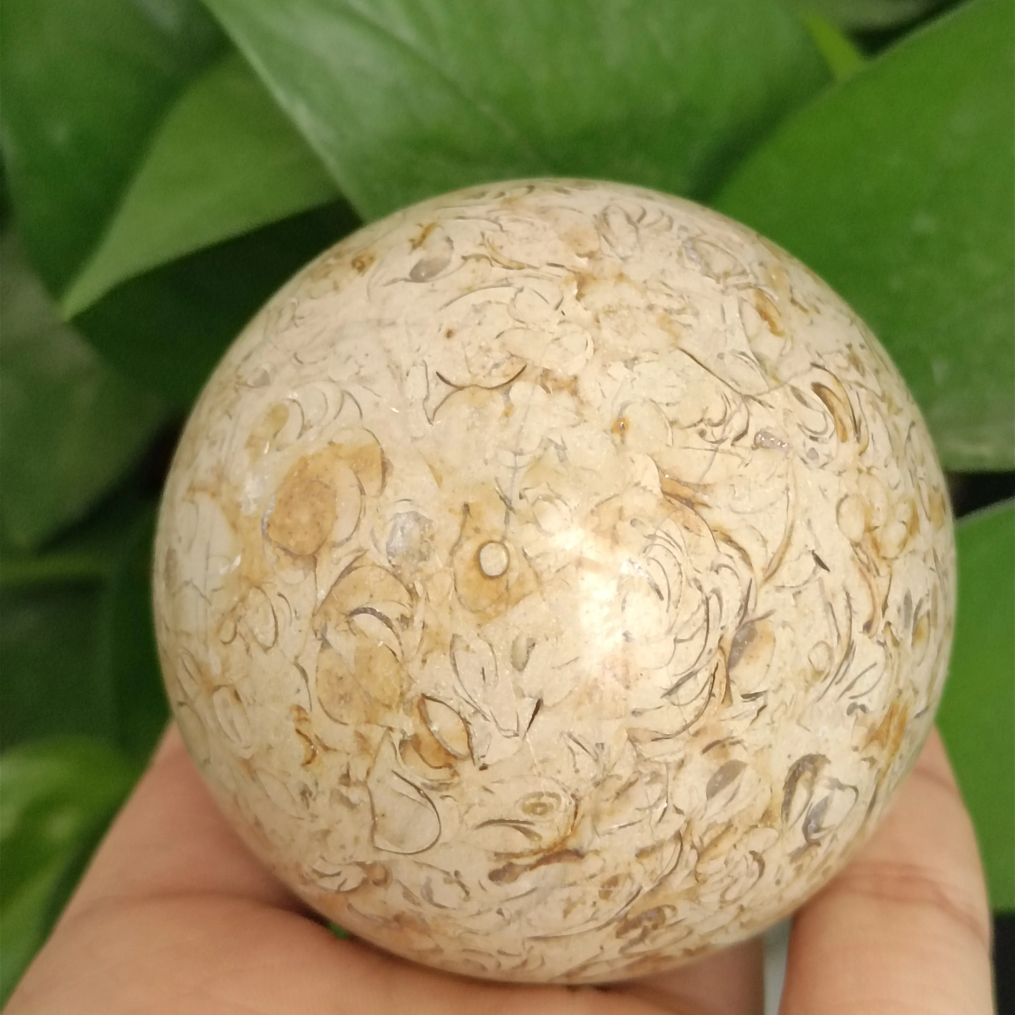

1 шт., натуральные кристаллы динозавра, 5-6,5 см