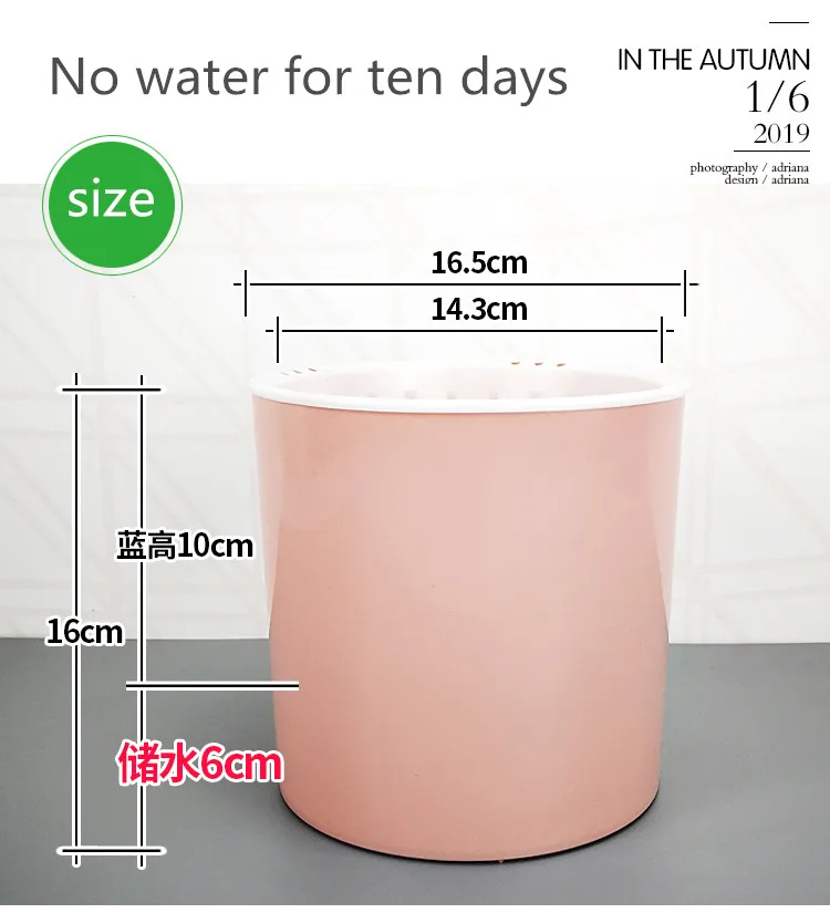 O1CN01J7l4YU1UOhstHCPHc_!!26182508