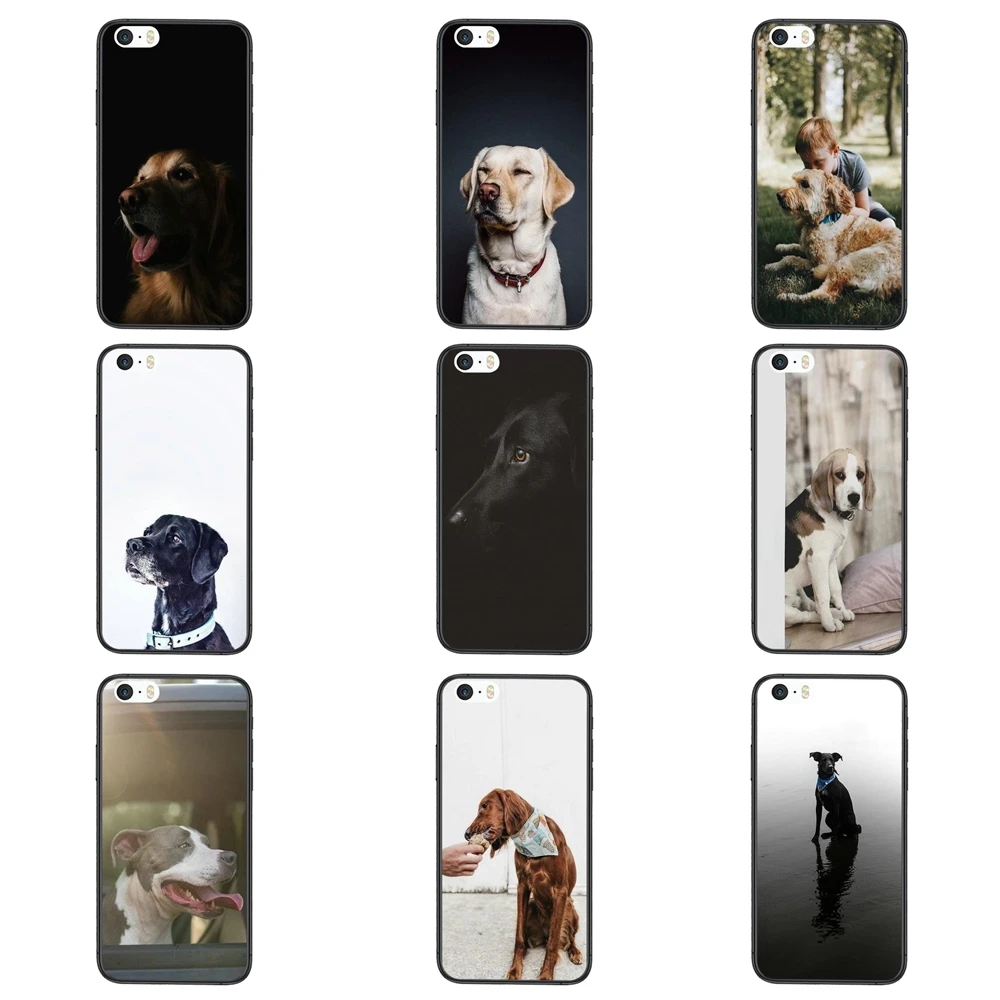 Soft Black Skin Case Cover Kawaii Cool Lazy Labrador Retriever For iPhone 11 12 Pro Mini XS Max X 8 7 6s Plus 5 SE XR | Мобильные