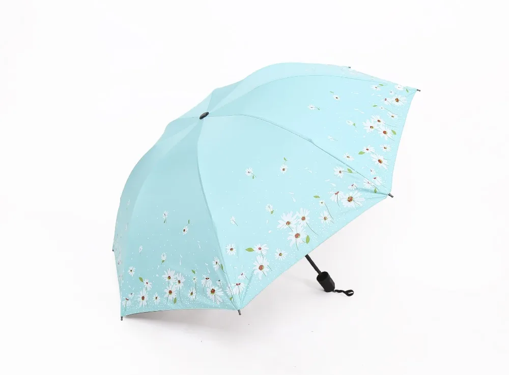 13378252095_1194651237