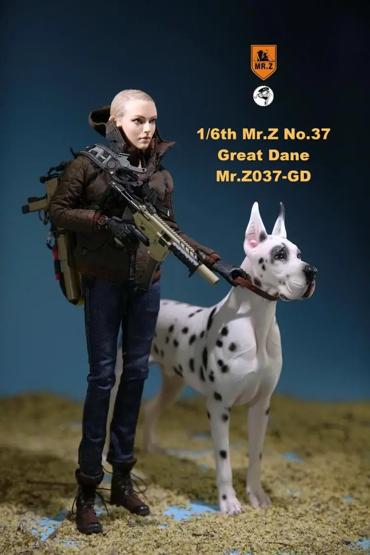 1/6 масштаб Коллекционная модель собаки любимчика Mr. Z MRZ037 немецкий Great Dane(все 6 цветов) для 12 дюймов фигурка