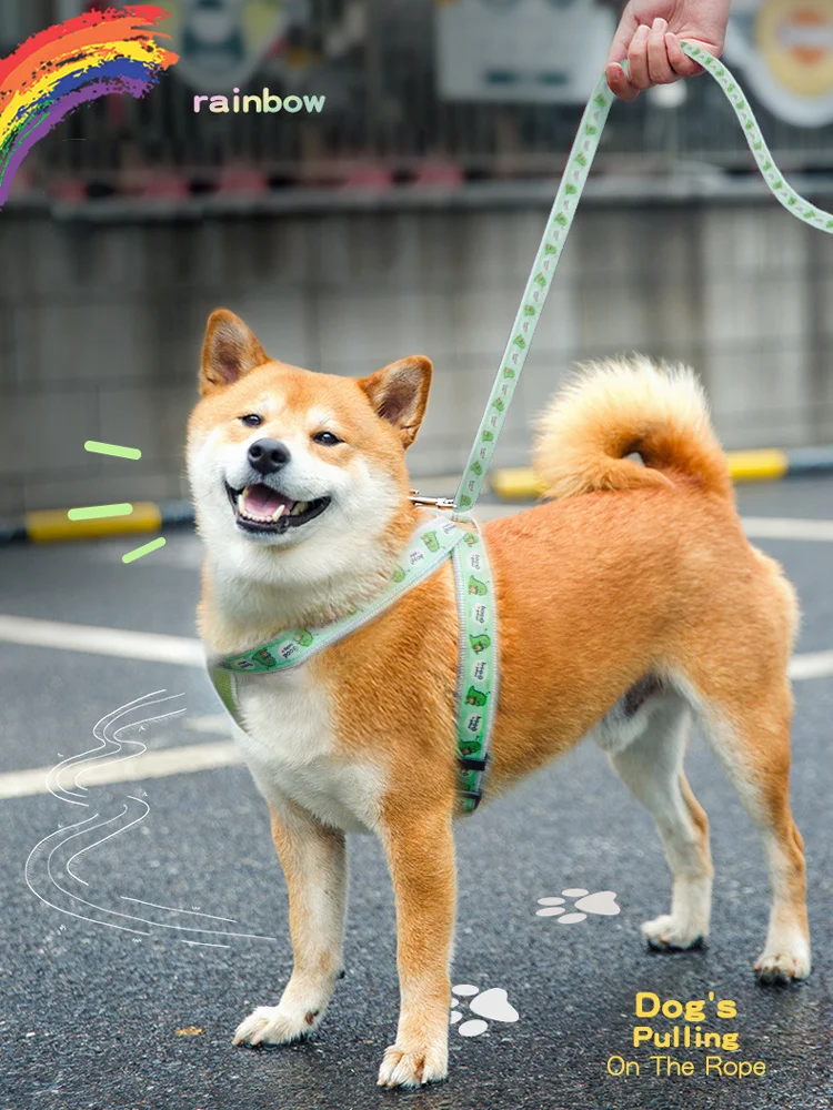 shiba inu leash pull