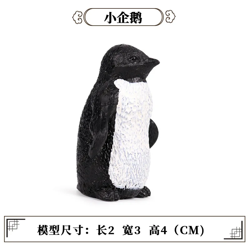 10842899088_1464955482