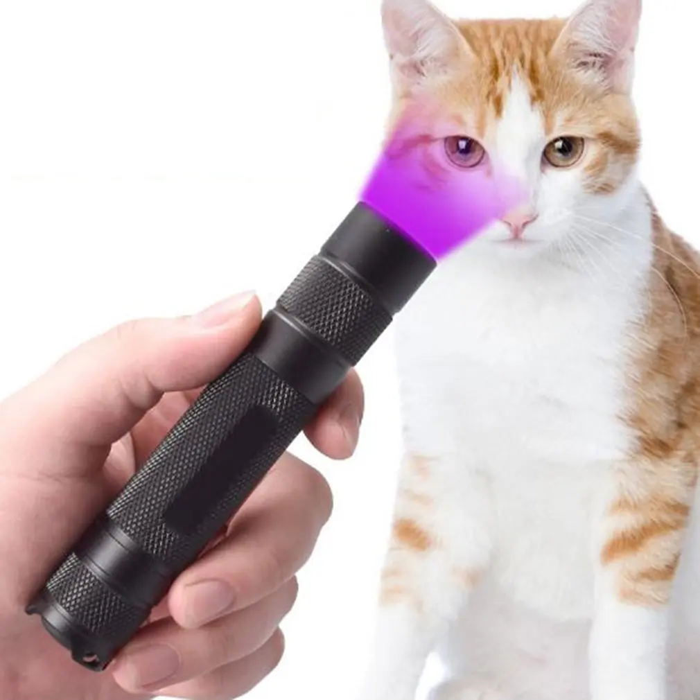 365Nm Violet Light Coin Collection Identification Uv Fluorescent Agent Detection Black Mirror Flashlight