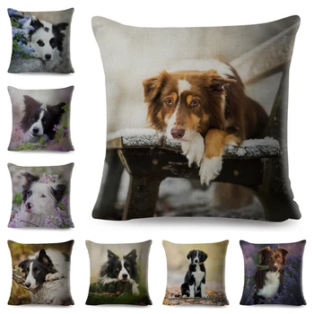 

Animal Dog Printed Pillowcase Decor Cute Pet Scotland Border Collie Cushion Cover for Sofa Home Car Linen 45*45cm Pillow Case
