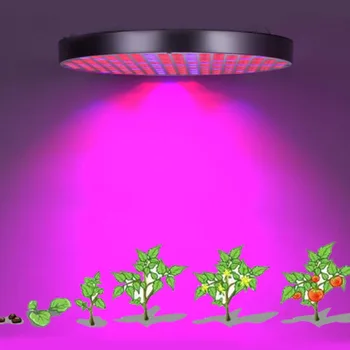 

50W LED Plant Grow Lights 250 LED Indoor Plants Growing Lamp Bulbs with Red Blue Spectrum Hydroponics Plant Kit