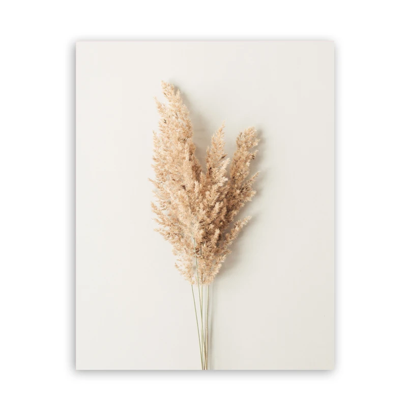 Boho-Beach-Gallery-Wall-Art-Pictures-Sexy-Woman-Line-Abstract-Art-Prints-Rainbow-Sun-Poster-Canvas (12)