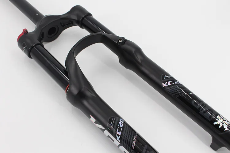 8776124379_203812192