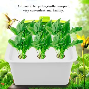 

US 6 Holes 110V Plant Site Hydroponic System Indoor Garden Cabinet Box Grow Kit Bubble Garden Pots Planters Nursery Pots
