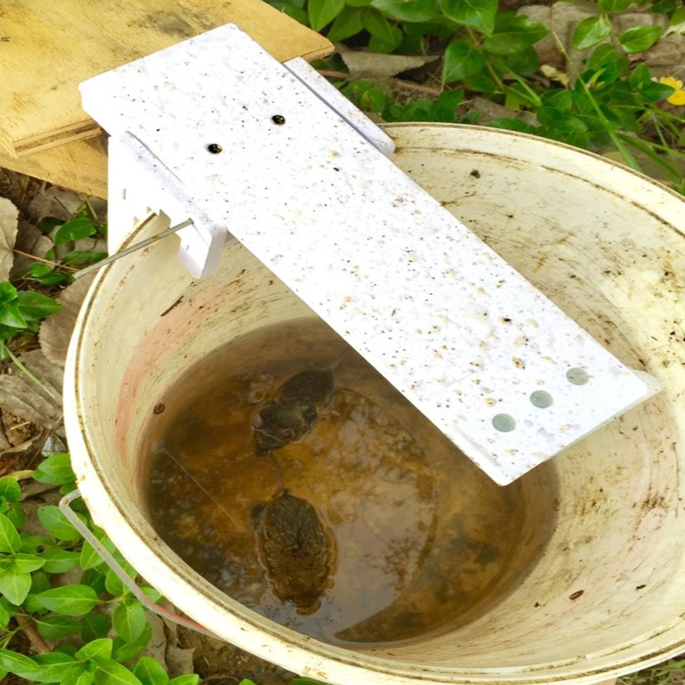 Walk The Plank Mouse Trap Rodent Bucket Auto Reset Humane Mice Catcher | Дом и сад