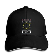 Все, что я хочу Рождество это ЕС бейсбольная кепка смешной Xmas Brexit UK Theresa snapback шляпа пиковая