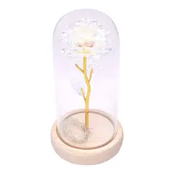 Роза светодиодный свет Медный провод свет Стекло купол ночника для микро ландшафтного дизайна DNJ998