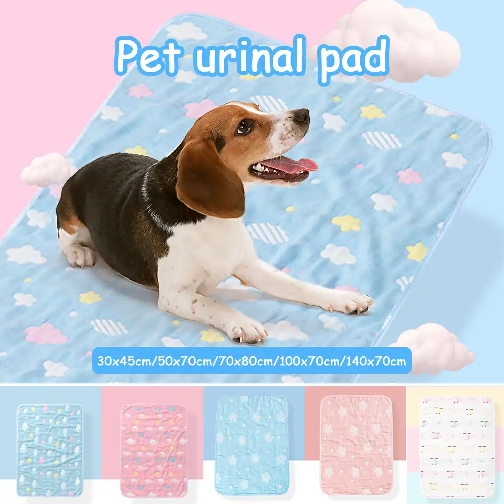 reusable training pads for dogs