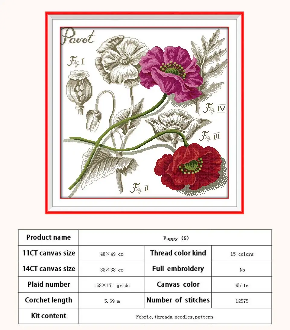 H527-罂粟花(5)