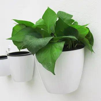 

PC Automatic Water Absorbing Wall Hanging Plant Holder Flowerpot Hanging Plant Pots Self Watering Tools Garden