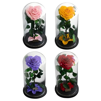 

Heart-shaped Rose Preserved Flowers Glass Cover with Gift Box