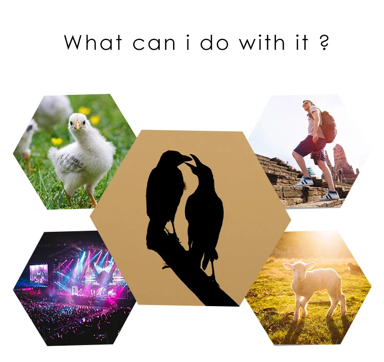 画板 6