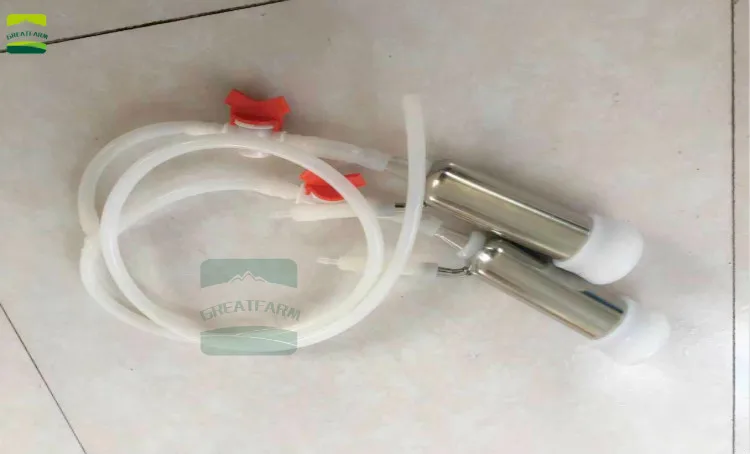 微信图片_20190822155455_meitu_2