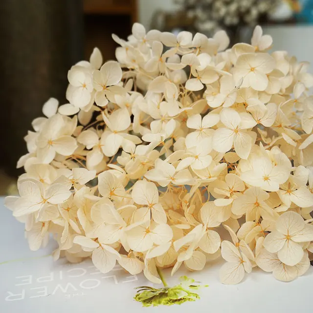 Anna Hydrangea  Flowers  Little  Leaves Preserved Hydrangea Decor  Office Decor  DIY Flowers Color 7