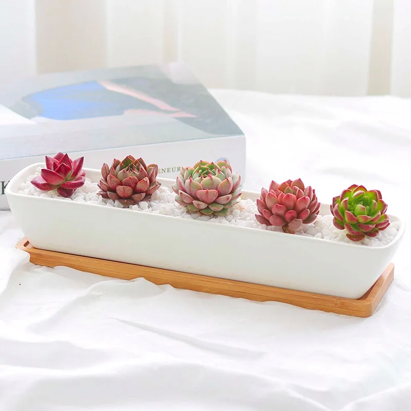 1 Set Minimalist Ship Shape White Ceramic Succulent Plant Pot Bonsai Planter Porcelain Flower with Bamboo Tray Home Decor | Дом и сад