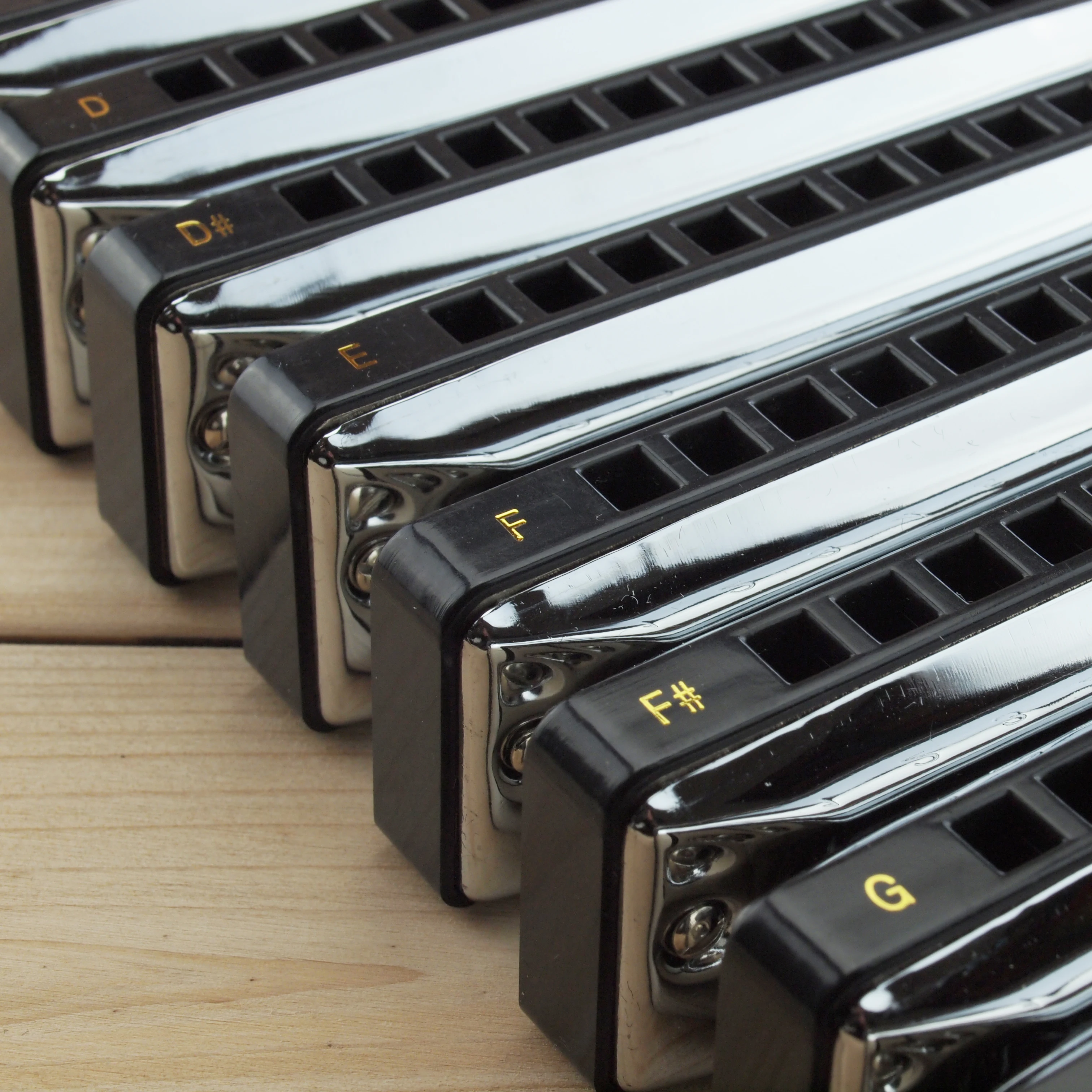 East Top Blues Harp Set Professional 10 Hole Harmonica Set With 12 Keys For Player,beginner
