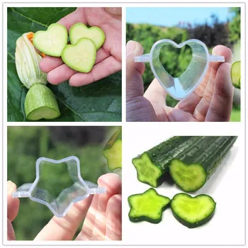 

5PCS Garden Cucumber Growing Mold Heart/Star Shaped Plastic Fruit Vegetable Apple Strawberry Shaping Growth Forming Mould