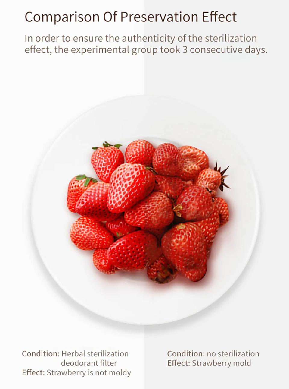 Original xiaomi mijia VIOMI Herbaceous Refrigerator Air Clean Facility Filter for Vegetables Fruit Food Fresh Prevent Home kit (6)
