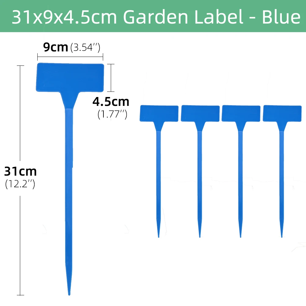 C-Blue