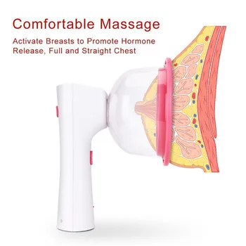 

2 size Breast Massage Therapy Machine Enlargement Pump Lifting Breast Enhancer Massager Cup And Body Shaping Beauty Device