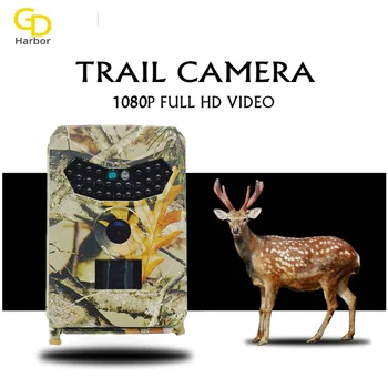 

Night Vision Hunting Camera IP56 Waterproof Trap Trail Camera 26pcs Infrared LED120 Degree 12MP Wildlife hunter Camera