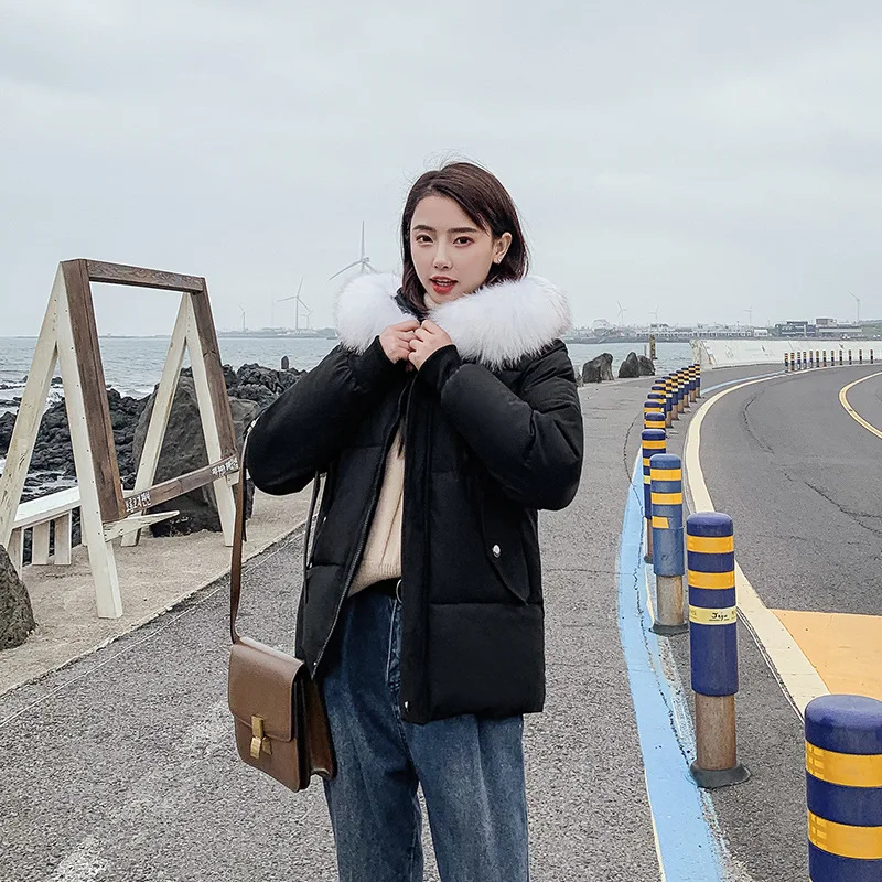 

Winter Cotton-padded Clothes Large Fur Collar Cotton-padded Jacket Popular Brand Women's 2019 New Style Large Fur Collar Winter