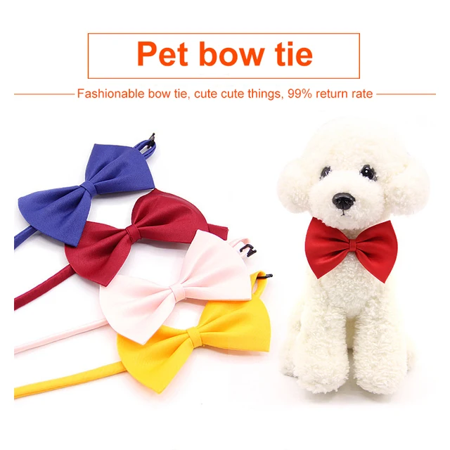pet dog cat necklace adjustable strap for cat collar dogs accessories pet dog bow tie puppy.jpg