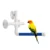 Попугаи Душ Окунь Стоячий Стержень Pet Bird Твердая Форма Окунь с 3 Присосками Pet Bathing Supplies Parrot Toys