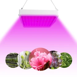 100W AC85-265V Growing Lamps 120 LEDs Grow Light Full Spectrum Plant Lighting Fitolampy For Plants Flowers Seedling Cultivation