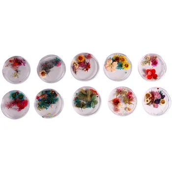 

10pcs Nail Sticker Dried Flowers Decor Natural Flower DIY Handmade Accessories Manicure Sticker for Woman Lady Girl (Random Styl