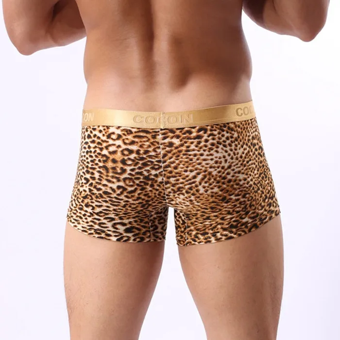 WS0023=3