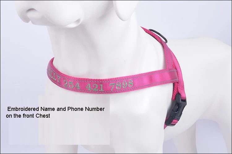 9399347999_2096751904