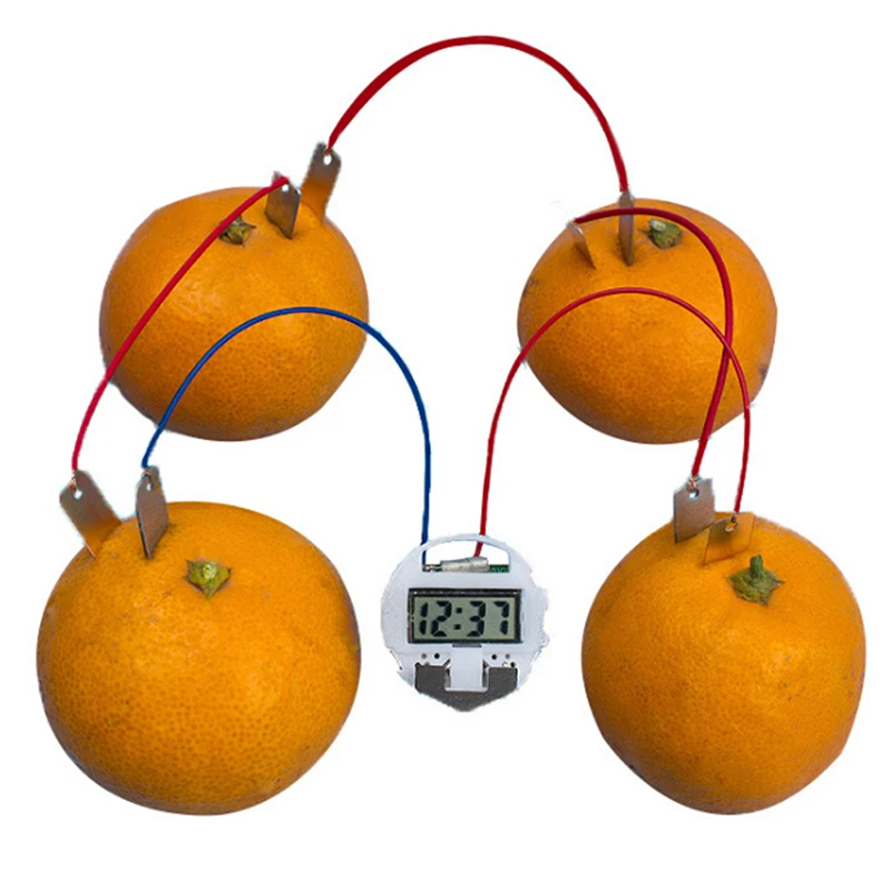 Children bio energy science kit fun potato supply electricity experiments t CL Children bio energy science kit fun potato supply electricity experiments t CL