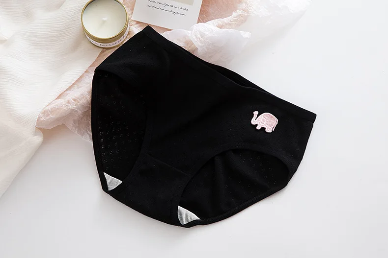 19826497774_541603624