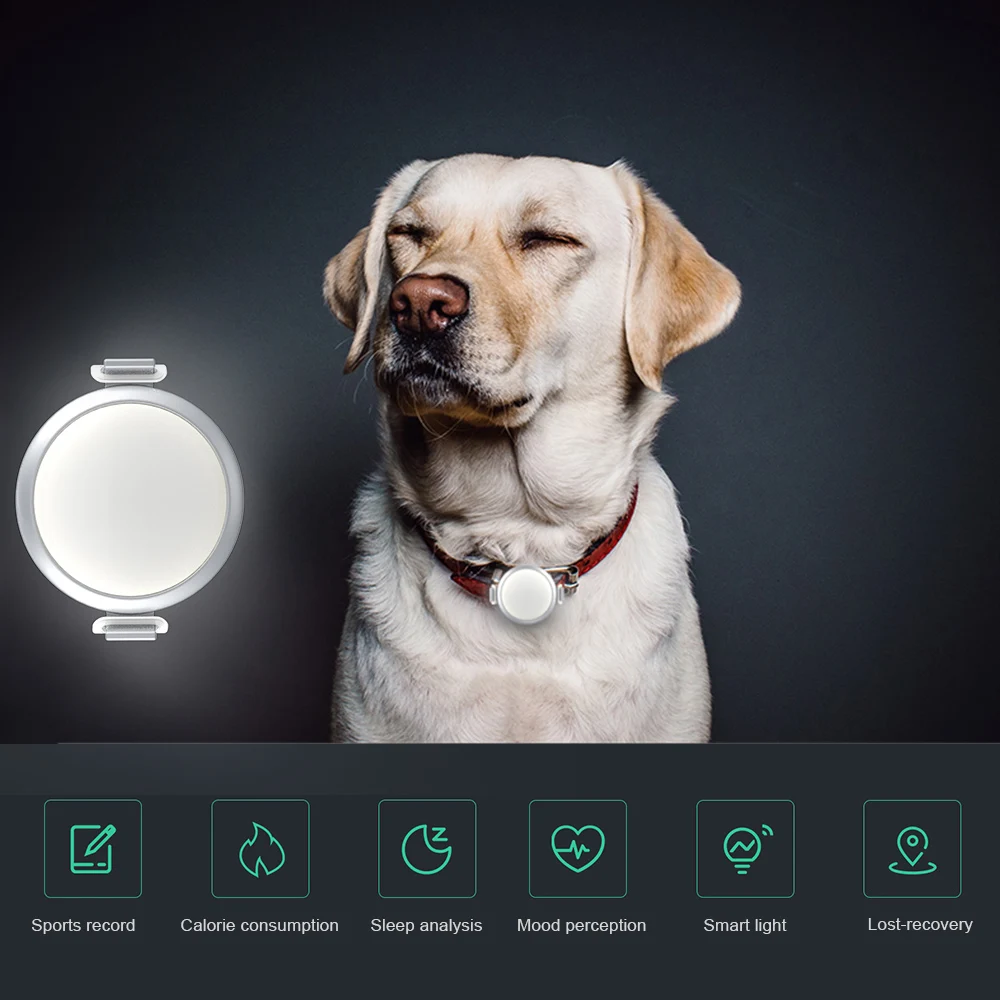Фитнес-трекер для домашних животных монитор для собак умный трекер для домашних животных фитнес-трекер монитор Поддержка iOS/Android