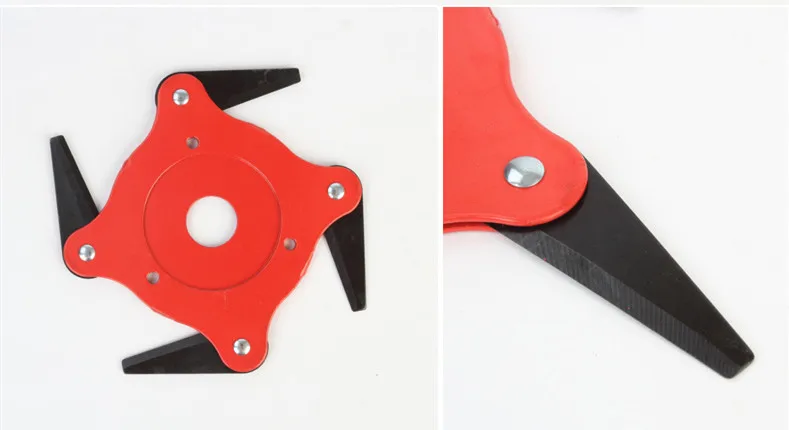 11850253456_297358734_副本