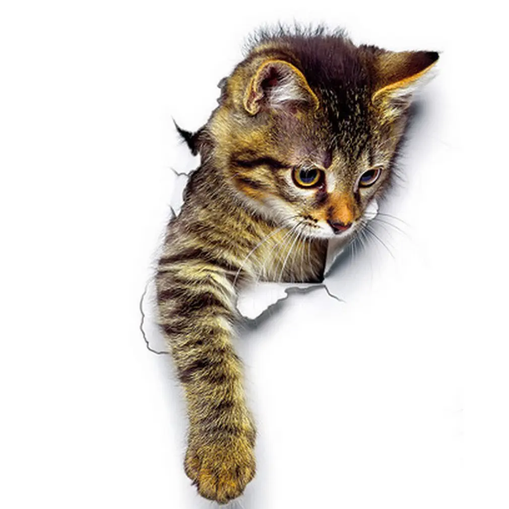 

Removable 3D Cat Pattern Sticker Hallway Decor Art Suitable for Living Room