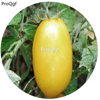 

Ngryise 6000Pcs A Set Banana Cream Tomato