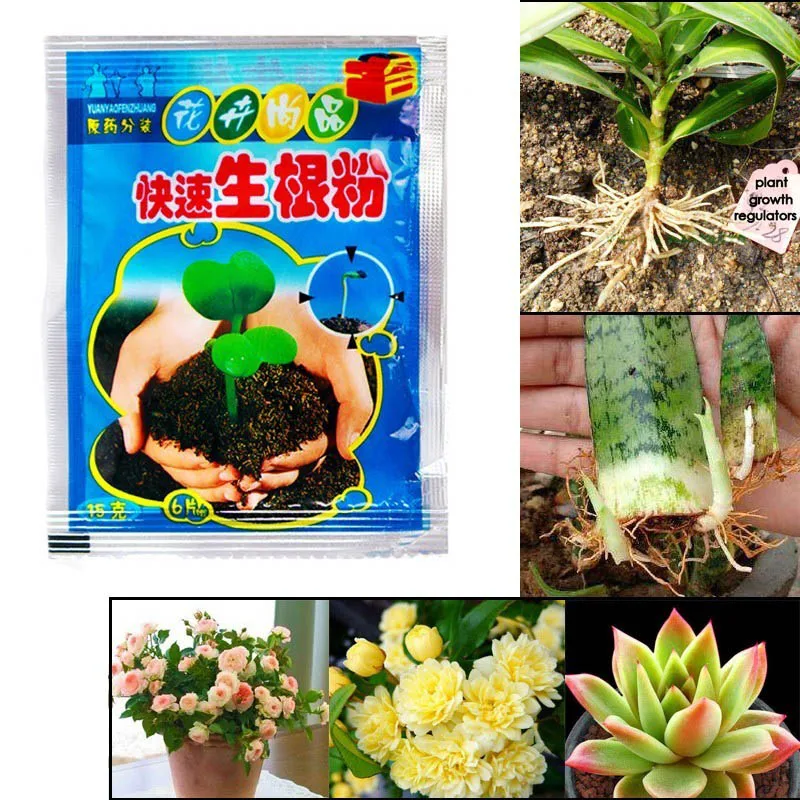 10 Bags Rapid Rooting Powder Agent for Fruit Tree Cutting Flower Plants New Design 
