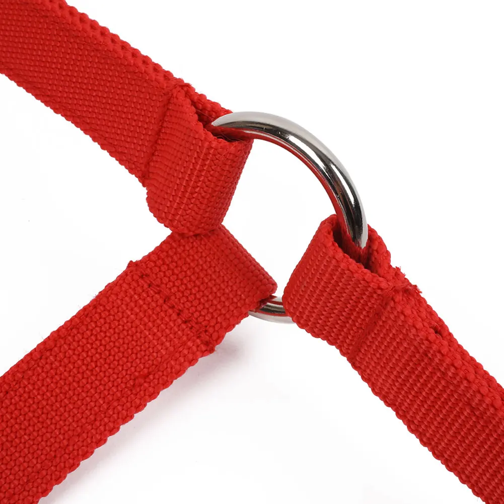 Horse Riding Belt Bridle Adjustable Halter Headstall Horsing Accessory Red/Blue