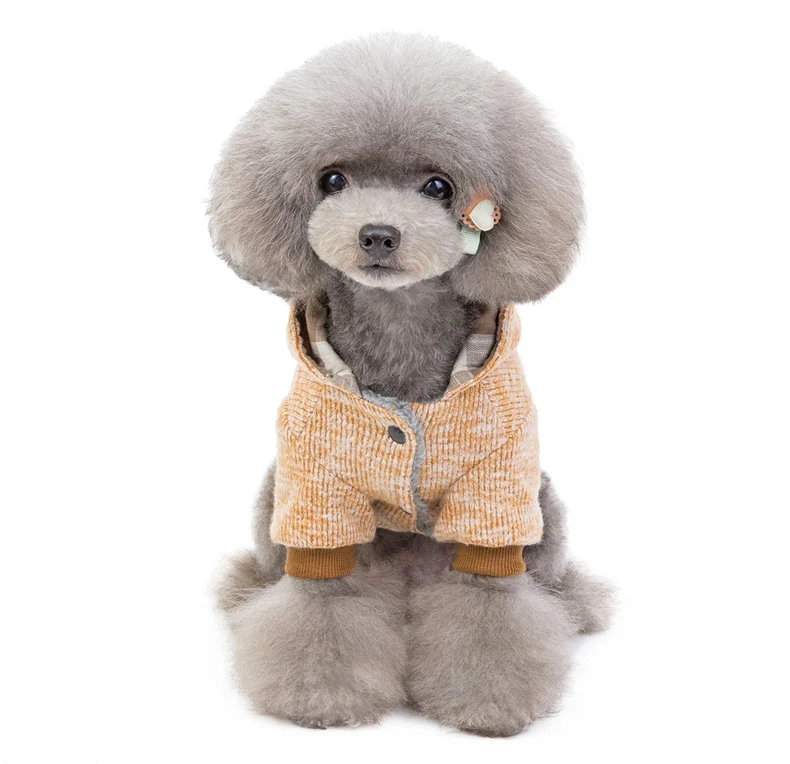 Коллекция года, зимняя одежда для собак, теплая куртка для собак, худи для домашних собак, пальто, свитер с рисунком лягушки, костюм для собак, одежда для чихуахуа